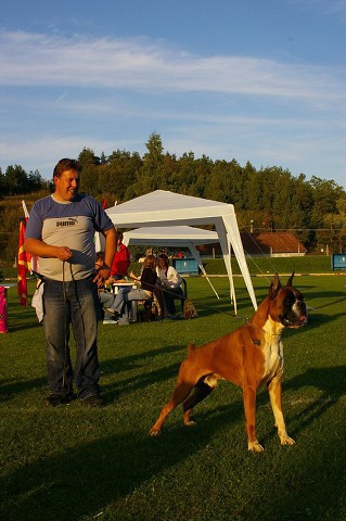 www.boxer-show.eu